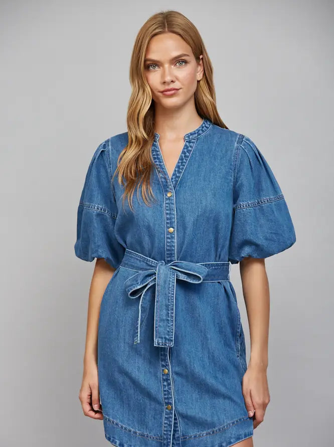 Alexis Puff Sleeve Denim Dress