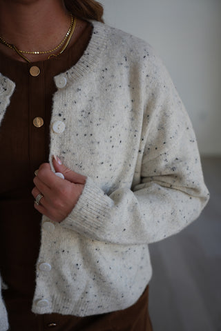 Carina Speckled Button Up Pocket Cardigan