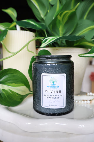 Winter Creek Candles